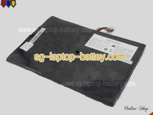 THTF I21P4 Battery 4000mAh 7.4V Black Li-ion