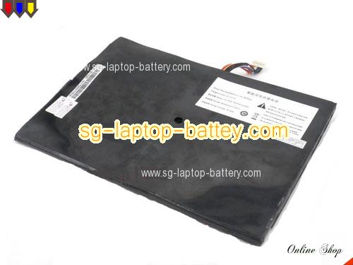 THTF 122-P4 Battery 10000mAh 7.4V Black Li-ion