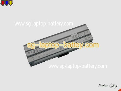 SONY VAIO PCG-TR1 Replacement Battery 6600mAh 11.1V Silver Li-ion