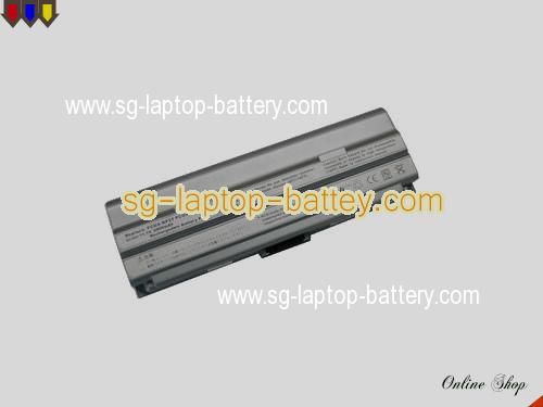 SONY VAIO PCG-TR5EB Replacement Battery 6600mAh 11.1V Silver Li-ion