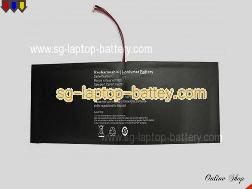 INSYS 4580270P Battery 10000mAh 3.8V Black Li-ion