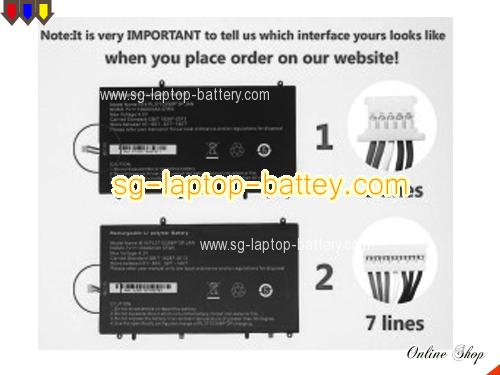 HAIER VL-40100100-2S Replacement Battery 10000mAh, 37Wh  3.7V Black Li-Polymer