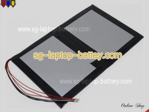 OTHER H-45110145P Battery 11000mAh, 41.8Wh  3.8V Sliver Li-Polymer