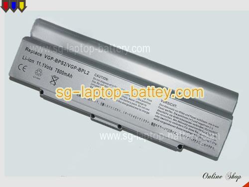 SONY VAIO VGN-FE590GC Replacement Battery 6600mAh 11.1V Silver Li-ion