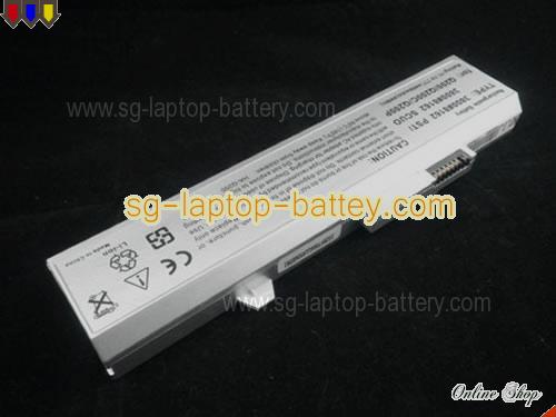 AVERATEC F12 Replacement Battery 4400mAh 11.1V Silver Li-ion