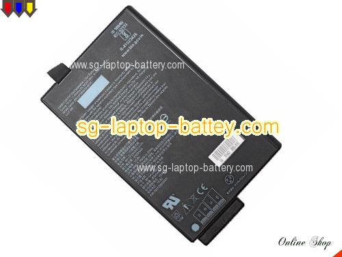 GETAC BP-LP2900/3301P1 Battery 8700mAh, 94Wh  10.8V Black Li-ion