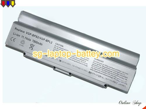 SONY VAIO VGN-C11C/P Replacement Battery 6600mAh 11.1V Silver Li-ion