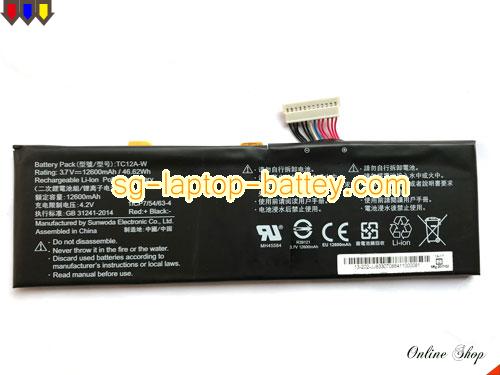 Replacement OTHER TC12A-W Laptop Battery TC12AW rechargeable 12600mAh, 46.62Wh Black In Singapore 