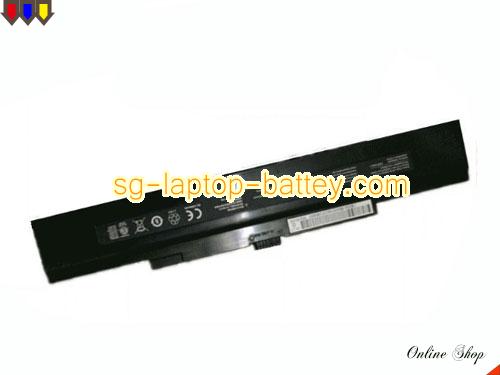 Genuine HASEE MT50-3S4400-G1L3 Laptop Battery 3lCR1966-2 rechargeable 4400mAh, 47.52Wh Black In Singapore 